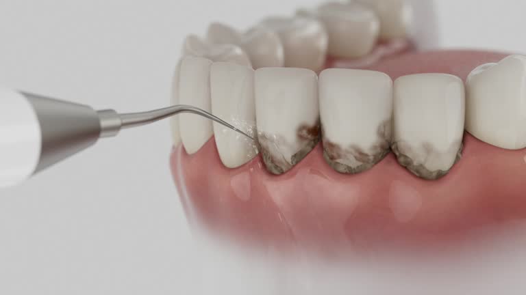 Reliable Dental contractor in Kingston, NJ by Dentist Open Now